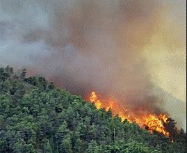 PREVENZIONE INCENDI.