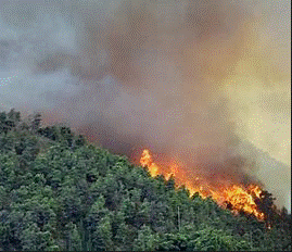 PREVENZIONE INCENDI.